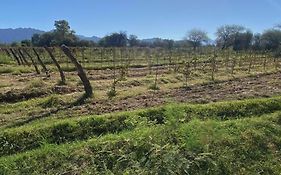 Finca La Dionisia